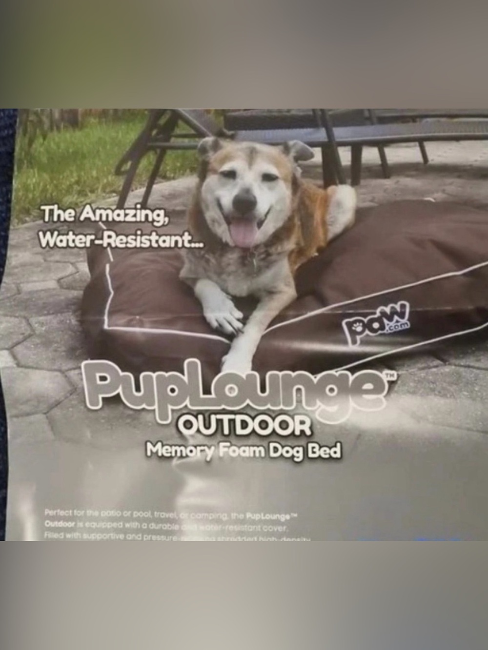New In A Box Outdoor Dog Bed Size x -Large